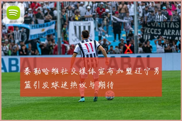 泰勒哈维社交媒体宣布加盟辽宁男篮引发球迷热议与期待